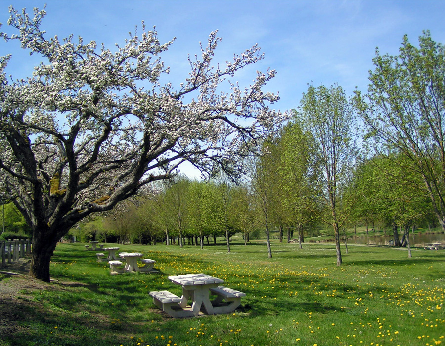 Table de pique-nique